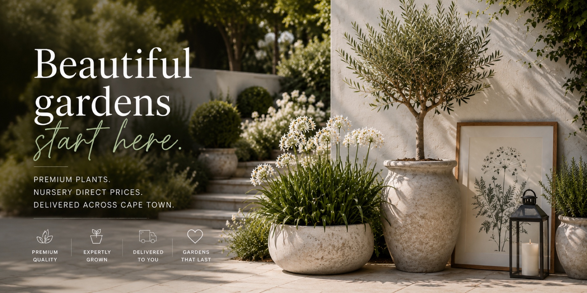Beautiful gardens start here — premium plants, nursery-direct prices, delivered across Cape Town by Whylde